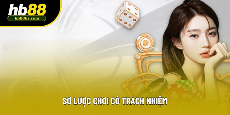 Sơ lược chơi có trách nhiệm