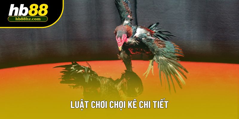 Luật chơi chọi kê chi tiết