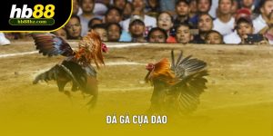 Đá Gà Cựa Dao - Xem Trực Tiếp Thomo & Mẹo Cược Thắng 2025