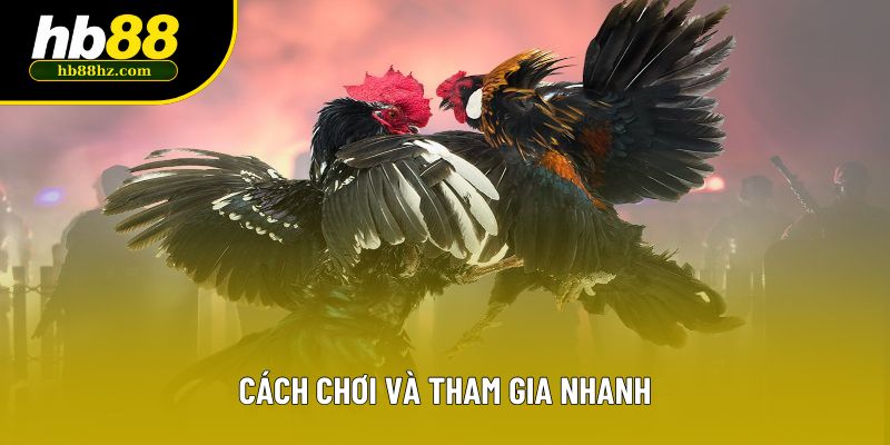 Cách chơi và tham gia nhanh Cách chơi và tham gia nhanh