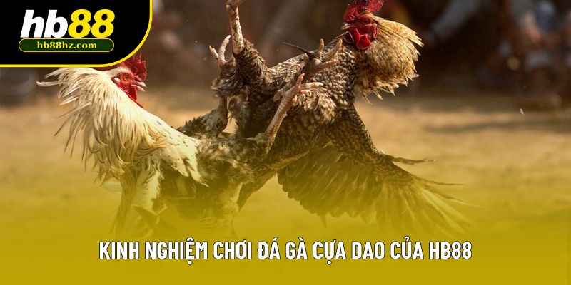 Kinh nghiệm chơi đá gà cựa dao của HB88