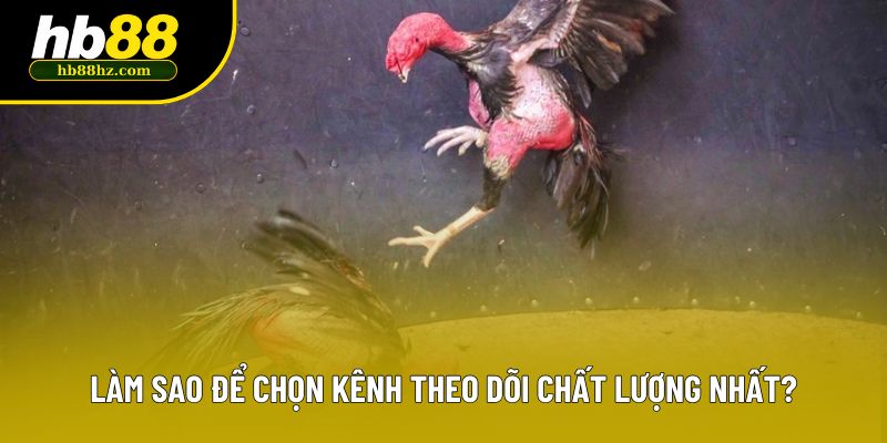 Làm sao để chọn kênh theo dõi chất lượng nhất?