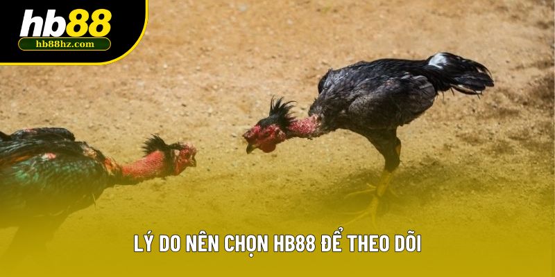Lý do nên chọn HB88 để theo dõi
