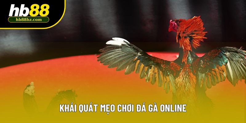 Khái quát mẹo chơi đá gà online