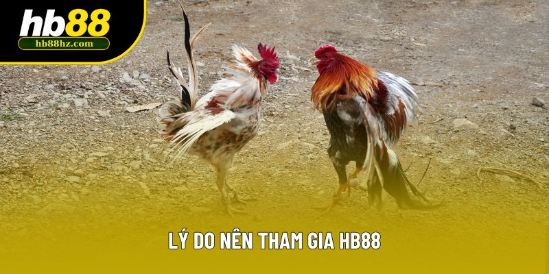 Lý do nên tham gia HB88
