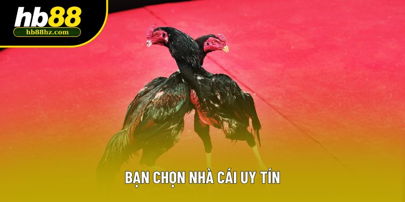 Bạn chọn nhà cái uy tín