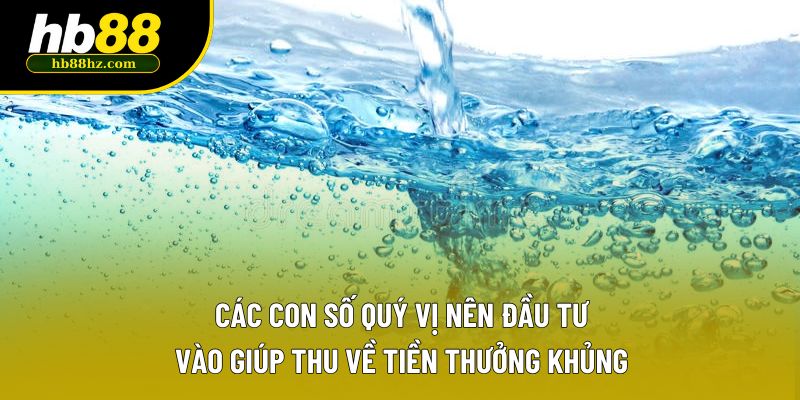 Các con số quý vị nên đầu tư vào giúp thu về tiền thưởng khủng Các con số quý vị nên đầu tư vào giúp thu về tiền thưởng khủng