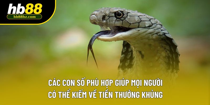 Các con số phù hợp giúp mọi người có thể kiếm về tiền thưởng khủng