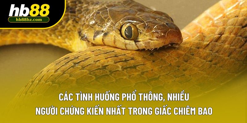 Các tình huống phổ thông, nhiều người chứng kiến nhất trong giấc chiêm bao