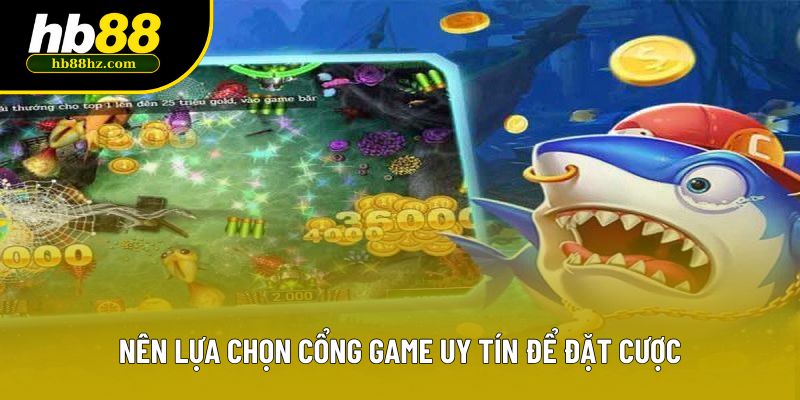 Nên lựa chọn cổng game uy tín để đặt cược