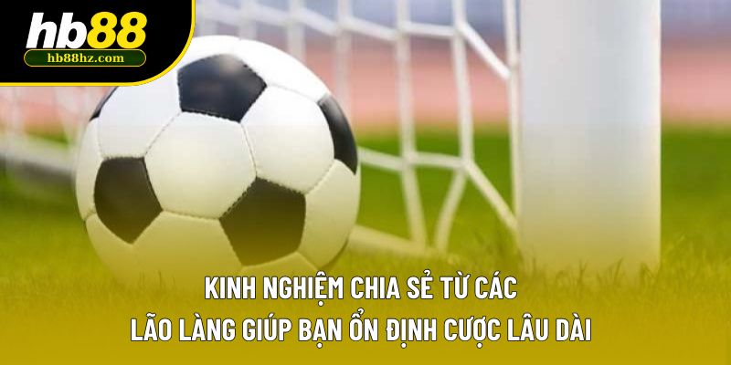 Kinh nghiệm chia sẻ từ các lão làng giúp bạn ổn định cược lâu dài