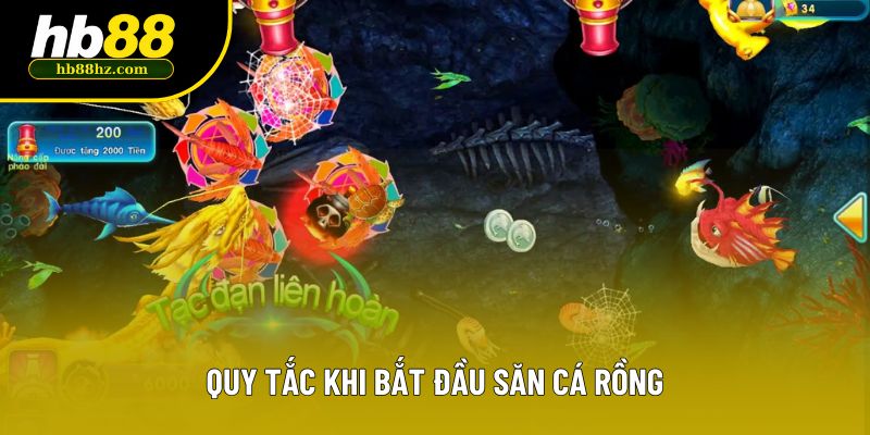 Quy tắc khi bắt đầu săn cá rồng