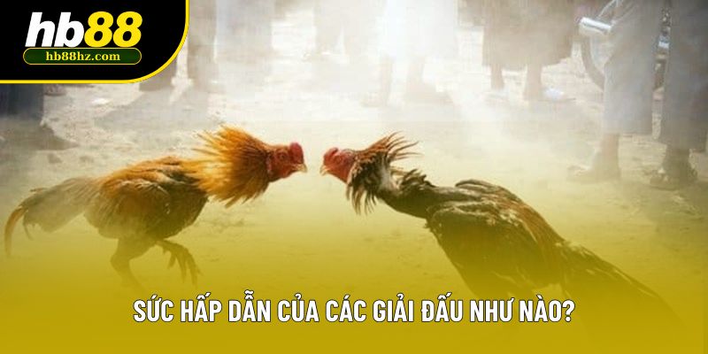 Sức hấp dẫn của các giải đấu như nào?