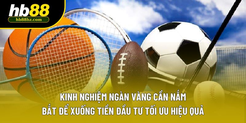Kinh nghiệm ngàn vàng cần nắm bắt để xuống tiền đầu tư tối ưu hiệu quả