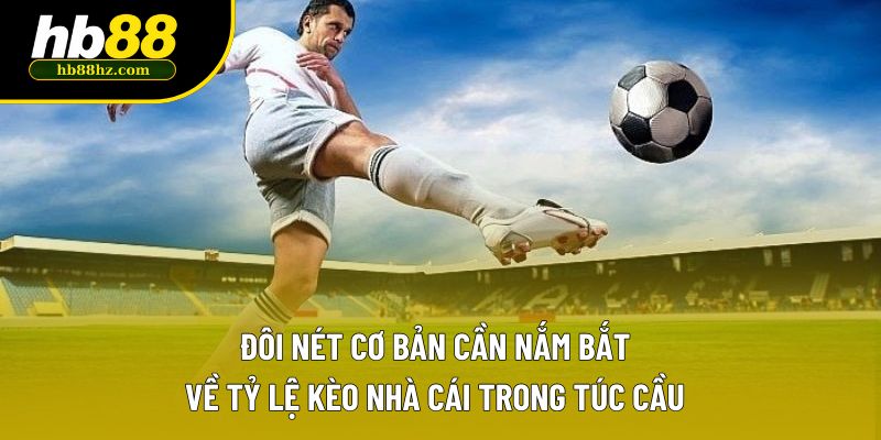 Đôi nét cơ bản cần nắm bắt về tỷ lệ kèo nhà cái trong túc cầu